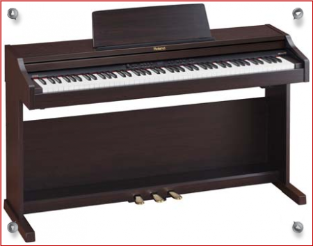 Roland rp 301